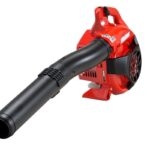 Soffiatore Shindaiwa EB252